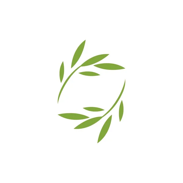 Eucalyptus Leaf 디자인 — 스톡 벡터