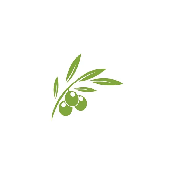 Zeytin Çizimi Logo Şablonu Vektör Düz Tasarım — Stok Vektör