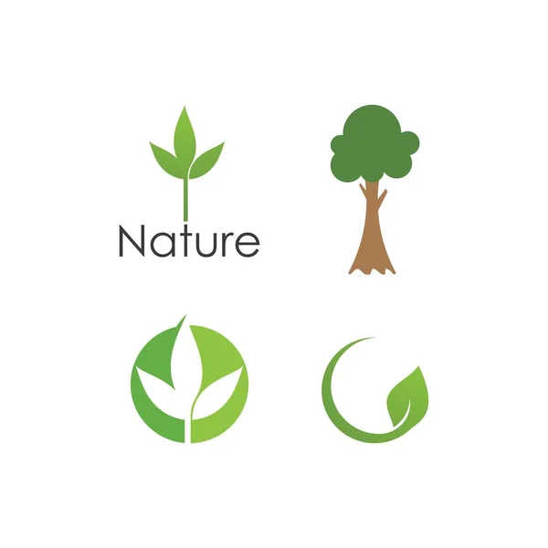 Green Leaf Illustration Nature Logo Design — Stock Vector