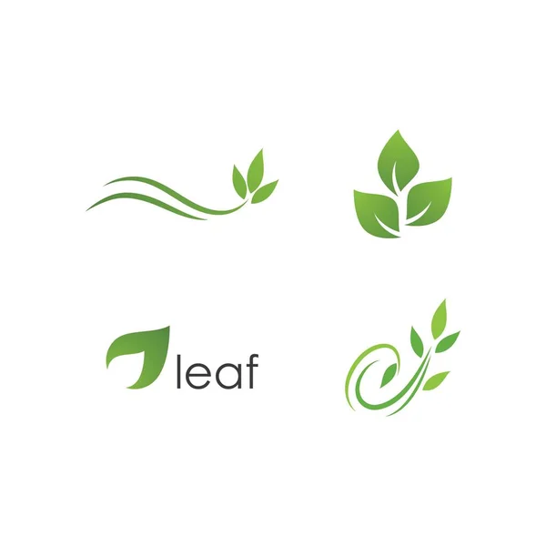 Grünes Blatt Illustration Natur Logo Design — Stockvektor