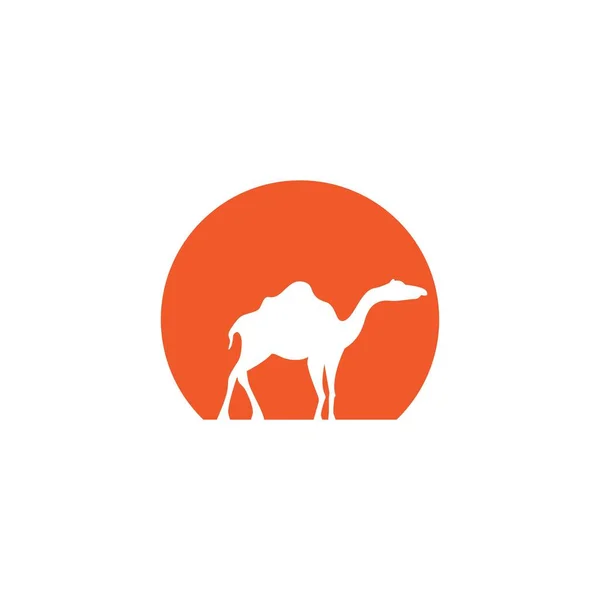 Illustration Camel Logo Vectoriel Design — Image vectorielle