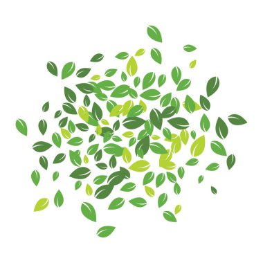 Yapraklar sonbahar vektör illüstrasyon tasarımı