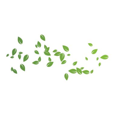 Yapraklar sonbahar vektör illüstrasyon tasarımı