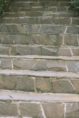 Üst kattaki bahçe. Yakın çekim.