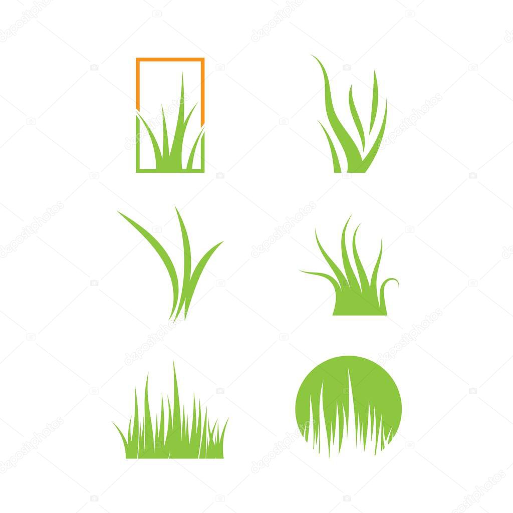 Green grass ilustration vector design