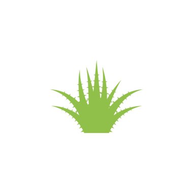 Aloe vera logo vektör ilüstrasyon şablonu