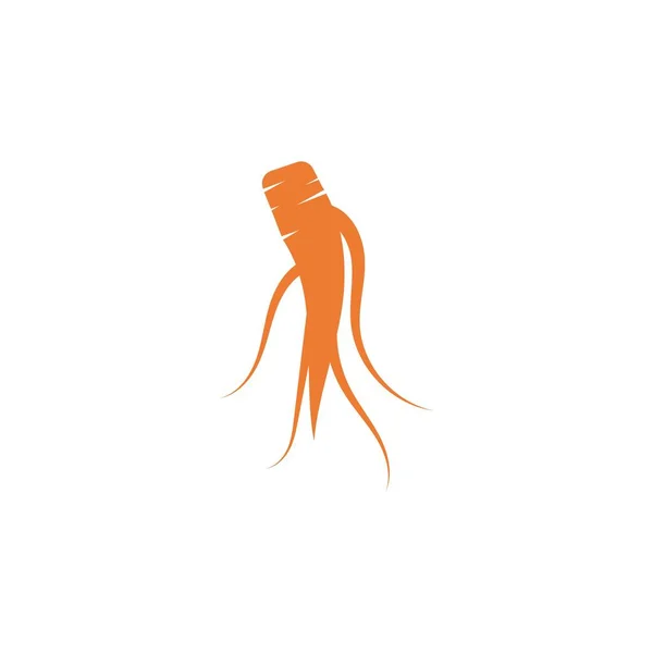 Ginseng Logo Vector Design Template — Stock Vector