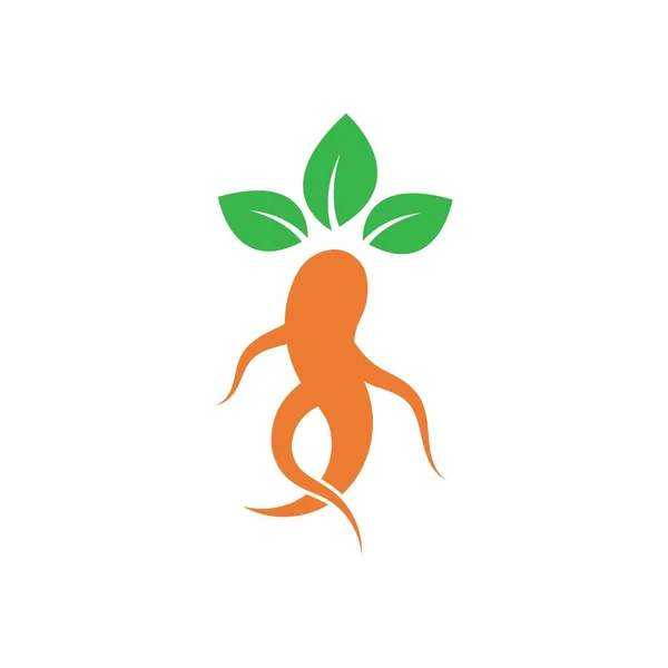 Modelo Design Vetor Logotipo Ginseng — Vetor de Stock