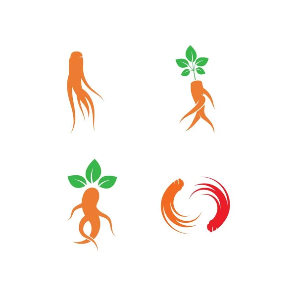 Modelo Design Vetor Logotipo Ginseng — Vetor de Stock