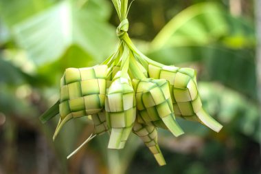 Ketupat veya pirinç köftesi geleneksel Asya yemeğidir.