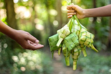 Ketupat veya pirinç köftesi geleneksel Asya yemeğidir.