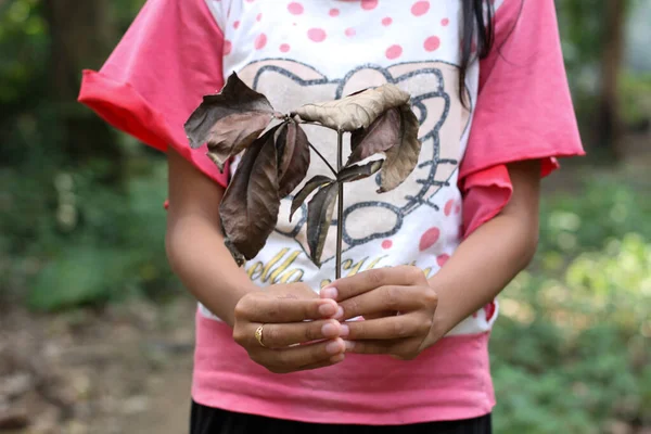 Chidren Hand Dead Tree Nature Care Concept — Stock Photo, Image