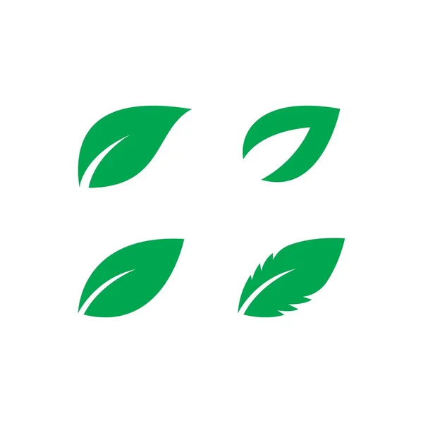 Yeşil Yaprak Logosu Tasarımı — Stok Vektör