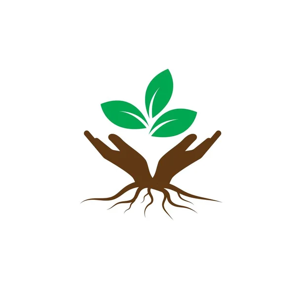 Hoja Verde Ilustración Naturaleza Logo Diseño — Vector de stock