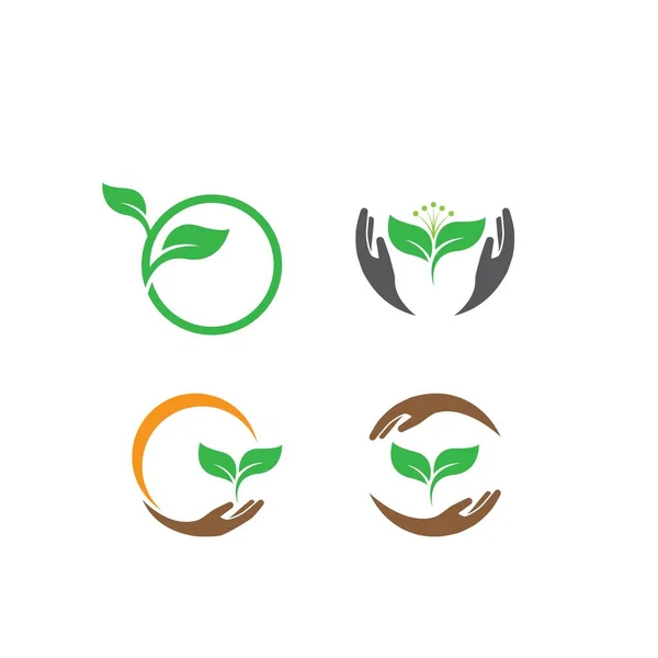 Екологічний Логотип Ручної Листової Ілюстрації — стоковий вектор