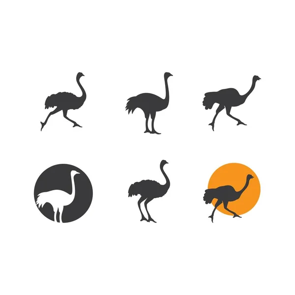 Ilustración Avestruz Logo Vector Diseño — Vector de stock