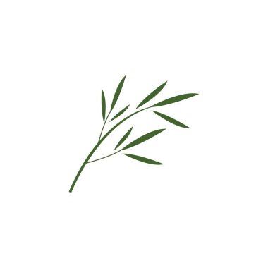 Yeşil yapraklı bambu logo ilüstrasyon vektör şablonu