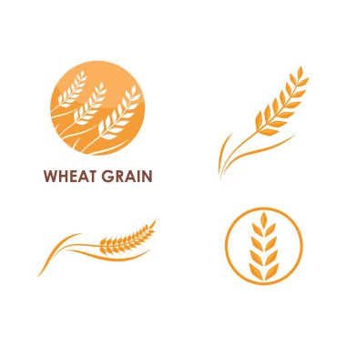 Buğday Logosu şablonu vektör çizimi tasarımı