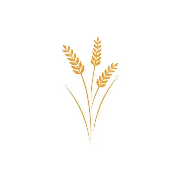 Конструкция Векторной Иллюстрации Логотипа Пшеницы — стоковый вектор