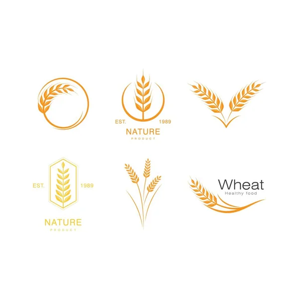 Wheat Logo Template Vector Illustration Design — 스톡 벡터