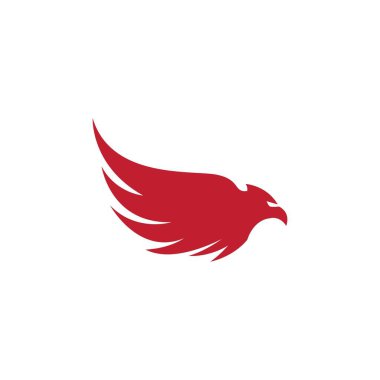 Falcon Eagle Bird logo şablon vektörü
