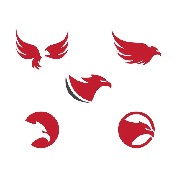 Falcão Águia Pássaro Logotipo Modelo Vetor —  Vetores de Stock