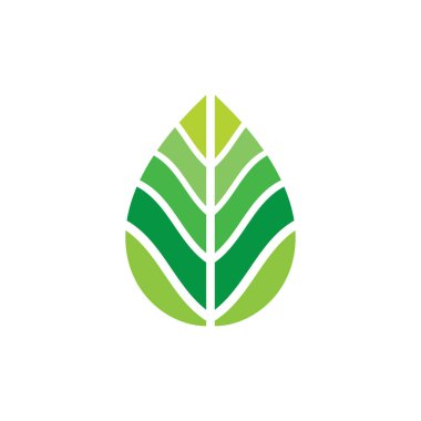Green leaf illustration nature logo flat design template