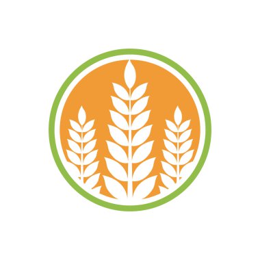 Tarım Buğday Logosu şablonu düz tasarım