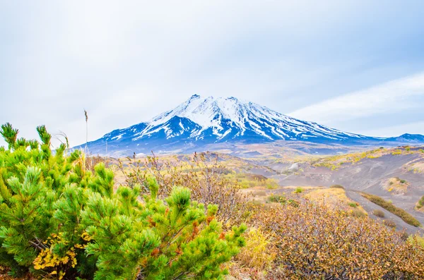 Weg zum Berg — Stockfoto