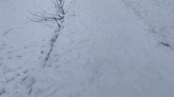 Сарагоса Испания Jan 2021 Человек Выходит Улицу Выпадает Снег Время — стоковое видео