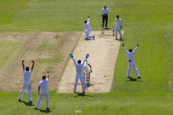 The Investec Ashes First Test Match Day Two — Stock Photo, Image