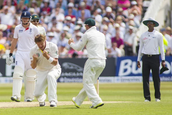 The Investec Ashes First Test Match Day Three — Stock Photo, Image