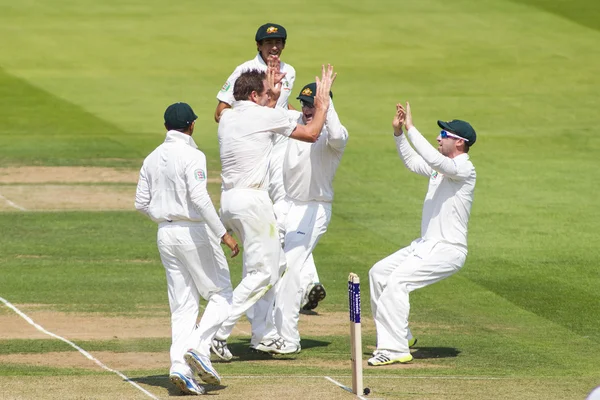 The Investec Ashes Second Test Match Day One — Stock Photo, Image