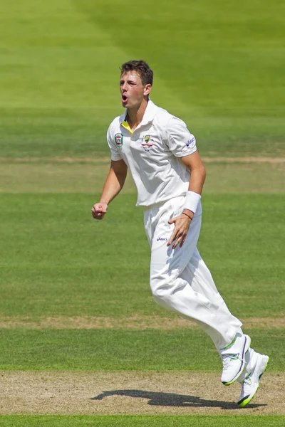 The Investec Ashes Second Test Match Day One — Stock Photo, Image