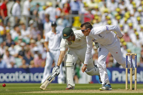 International Cricket England / Austrália Investec Ashes 5th Tes — Fotografia de Stock