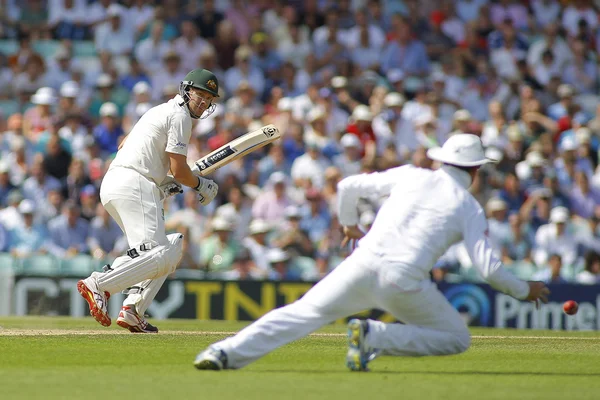 uluslararası kriket İngiltere v Avustralya investec külleri 5 test