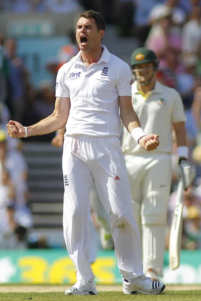 Internacional de cricket de Inglaterra v australia investec cenizas 5ª prueba —  Fotos de Stock