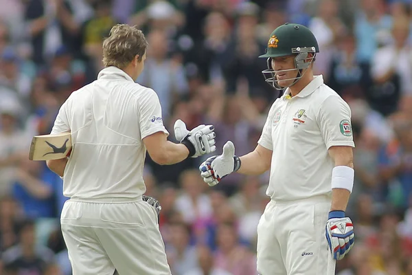 Internacional de cricket de Inglaterra v australia investec cenizas 5 tes —  Fotos de Stock