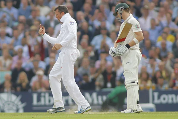 Международная критика Англия против Австралии Investec Ashes 5th Tes — стоковое фото