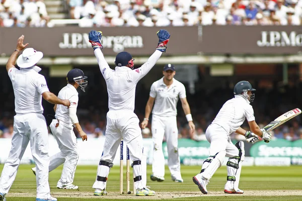 2012 England v South Africa 3rd Test Match day 4 — Stockfoto