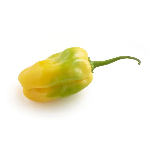 Fresh and tasty yellow habanero pepper with green spots cut thro — Stock Photo, Image