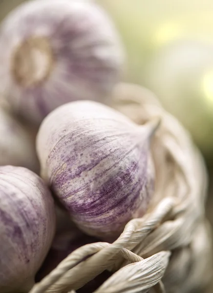 Garlics em uma cesta sho — Fotografia de Stock