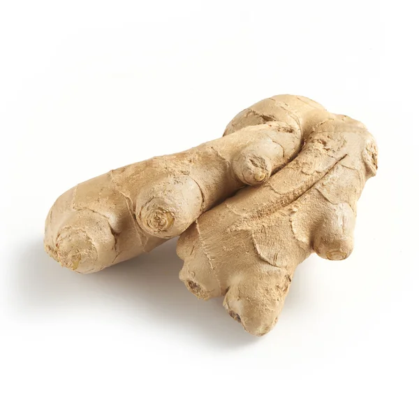 Ginger on a white background — Stock Photo, Image