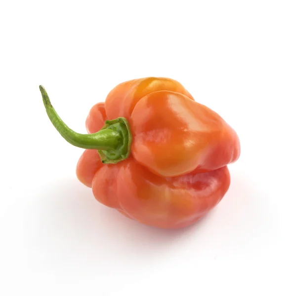 Round red habanero pepper on a white background with a soft shad — Stock Photo, Image