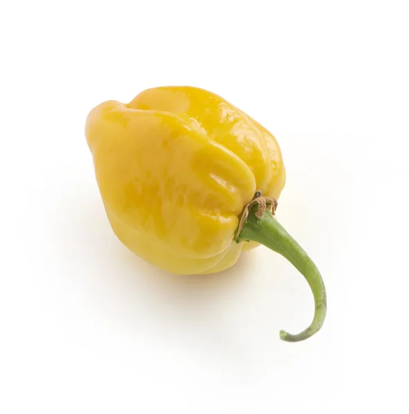 Redondo amarelo habanero pimenta sobre um fundo branco com um macio s — Fotografia de Stock