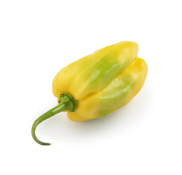 白地に黄色と緑の habanero のコショウ — ストック写真