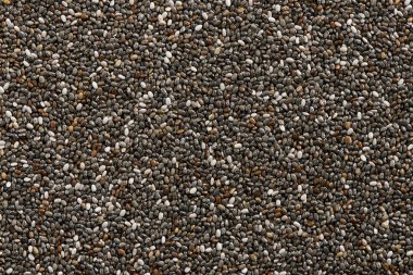 Chia tohum