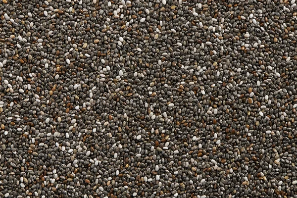 Chia seed — Stock Photo, Image