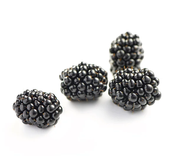 Blackberries in a group of four photographed on a white backgrou — Stock Photo, Image