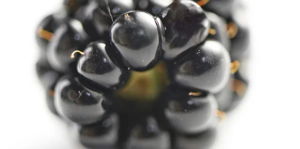 Single blackberry shot in extreme closeup — Stock Photo, Image